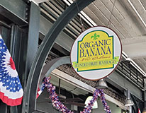 Organic Banana